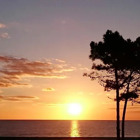 Lumineux A Saint-cyprien 45 M² Vue