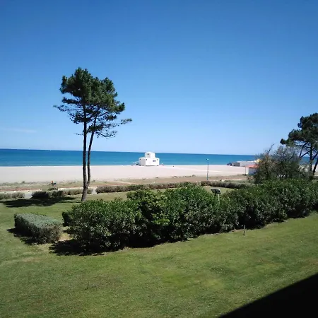 Lumineux A Saint-cyprien 45 M² Vue