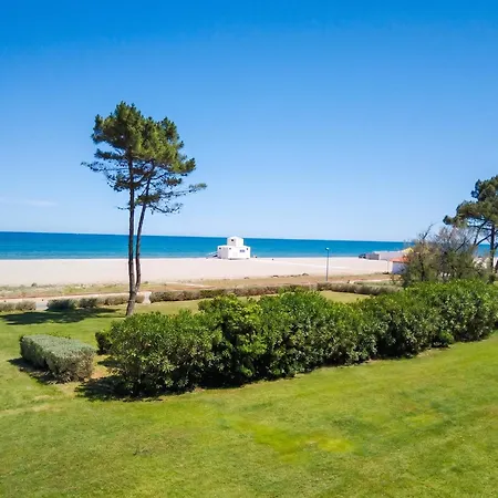 Appartement Lumineux A Saint-cyprien 45 M² Vue