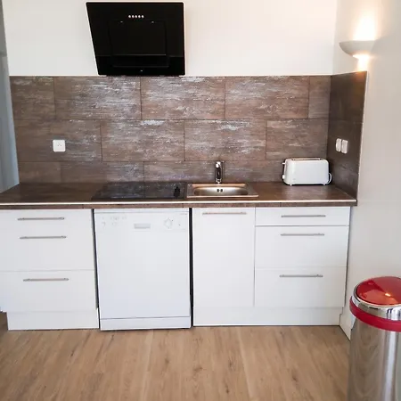 Lumineux A Saint-cyprien 45 M² Vue